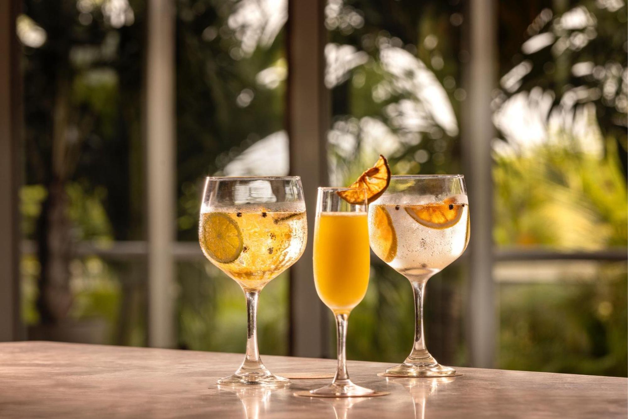 ซานตา มาร์ตา แมริออท รีสอร์ต ปลายา ดอร์มิดา Hotel ซันตามาร์ตา ภายนอก รูปภาพ Glasses of ginger beer